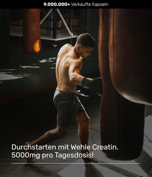 Creatin Kapseln hochdosiert 5000 mg Creatin Monohydrat pro Tagesdosis, 300 vegane Kapseln – ohne Zusatzstoffe – Vegan (300 Kapseln) Wehle Sports – Verpackung kann variieren.