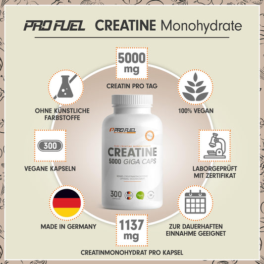 Creatin 5000 Giga Caps - 5000 mg Creatin pro Tag - hochdosierte Creatinkapseln mit 1137 mg Creatine-Monohydrate pro Kapsel - laborgeprüfte Kreatin-Monohydrat Kapseln - 100% vegan - 300x